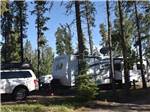 Trailer camping at CAMP TAMARACK RV PARK - thumbnail