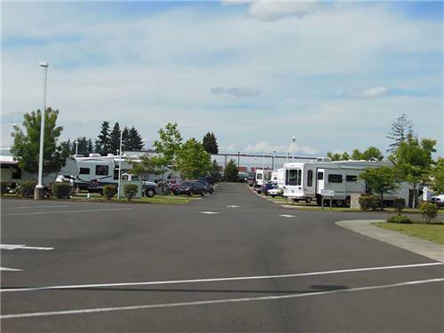 White RVs and trailers at campground parked at HEE HEE ILLAHEE RV RESORT