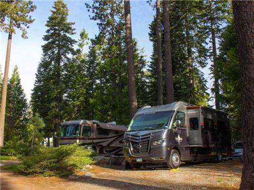 RVs camping at THOUSAND TRAILS SNOWFLOWER