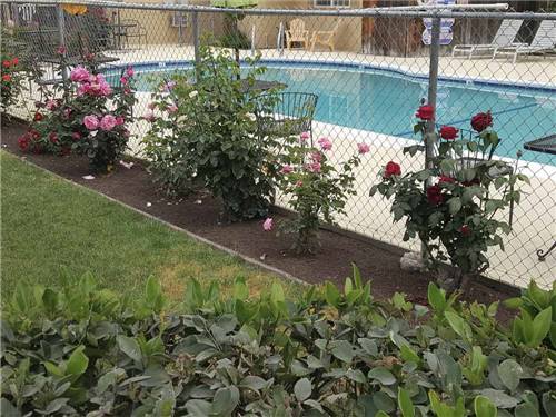 The fenced in swimming pool at FRESNO MOBILE HOME & RV PARK