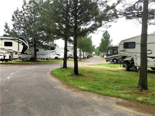 A curvy road with RV sites & pine trees on both sides at SOUTHAVEN RV PARK
