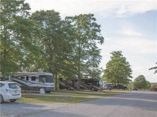 A row of shaded RV sites at SCENIC MOUNTAIN RV PARK & CAMPGROUND