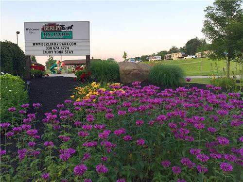 Purple flowers in front of the main sign at BERLIN RV PARK & CAMPGROUND