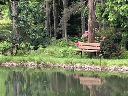 A park bench along the water at WOODLAND PARK