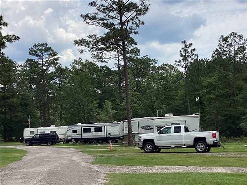 A row of travel trailers at WILDERNESS RV PARK