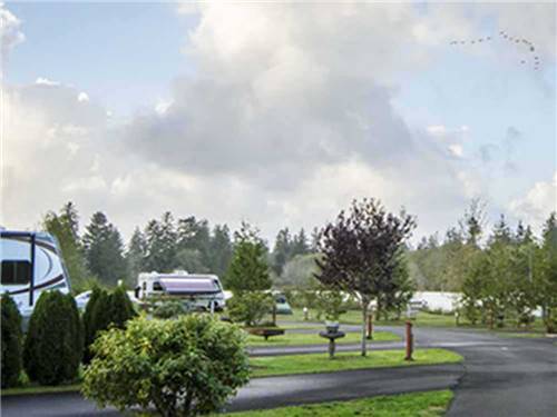 A line of paved RV sites at FRIENDS LANDING RV PARK
