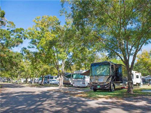 RVs parked at campground at ENCORE VACATION VILLAGE
