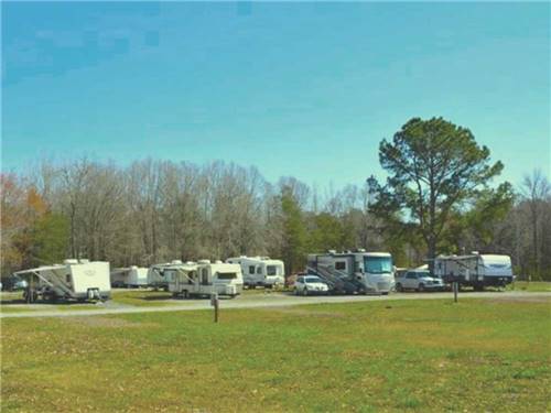 A row of trailers and motorhomes in sites at SPRING CITY RV PARK