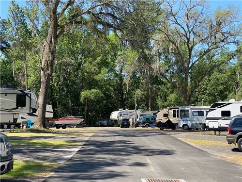 Road with RVs on each side at SUNNY OAKS RV PARK
