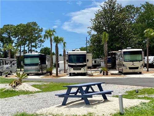 A row of motorhomes parked in gravel sites at SOWAL PALMS RV PARK