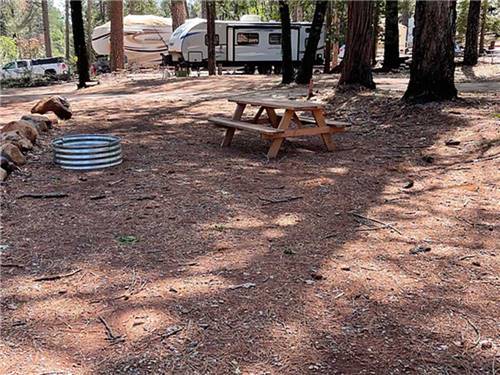 Picnic table and fire pit near RV at PARADISE PINES RV PARK AND CAMPGROUND