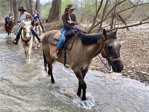 A group of people riding horses in a creek at ELM ACRES RV RESORT