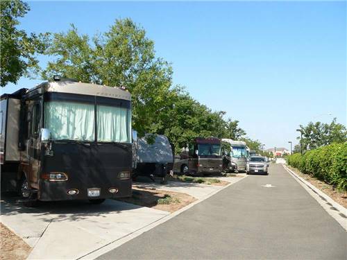 RVs and trailers at campground at FLAG CITY RV RESORT