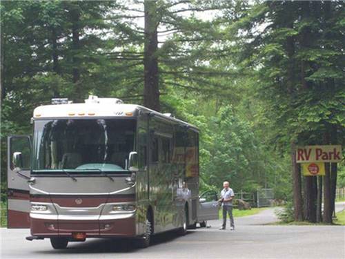 RV parked at campsite at ANCIENT REDWOODS RV PARK