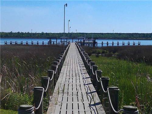 The wooden pathway going to the water at WHITE OAK SHORES CAMPING & RV RESORT