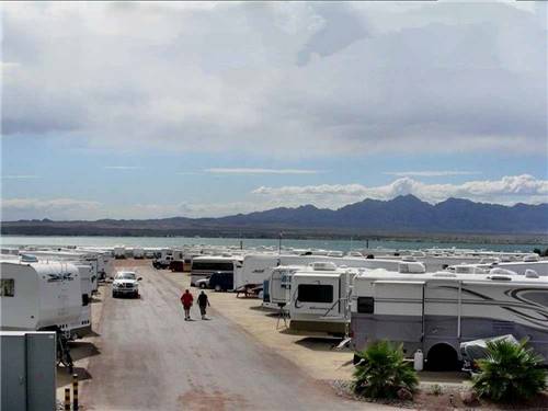 A row of RVs parked in sites with mountains in the background at CAMPBELL COVE RV RESORT