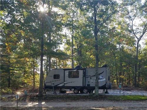 A travel trailer surrounded by trees at ATLANTIC BLUEBERRY RV PARK