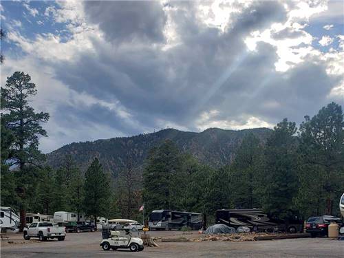 A group of RV sites by tall trees with mountains in the background at FLAGSTAFF RV PARK
