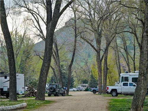 The dirt road leading to the campsites at RIVERVIEW RV PARK & CAMPGROUND