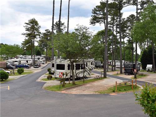 Trailers and RVs camping at ATLANTA SOUTH RV RESORT