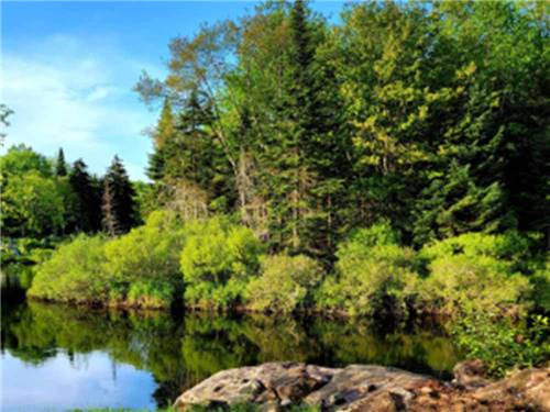 The river with green trees surrounding at HTR ADIRONDACKS