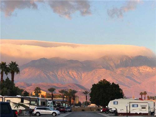 RVs and trailers at campground at ENCORE PALM SPRINGS OASIS