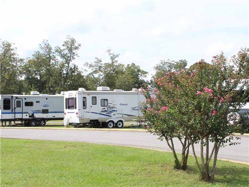 The RV sites entering the park at CROSSROADS TRAVEL PARK