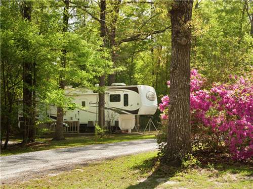 A fifth wheel trailer parked in a wooded RV site at OCALA RV CAMP RESORT