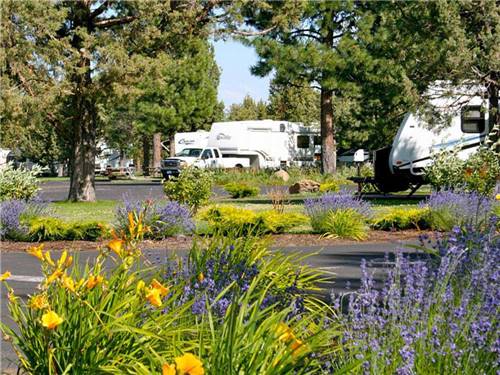 Trailers camping at BEND/SISTERS GARDEN RV RESORT