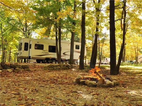 Trailer camping at TRANQUIL TIMBERS