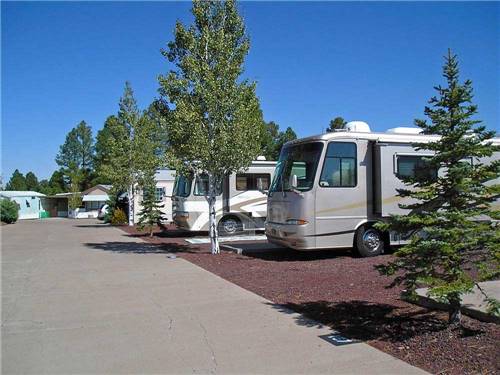 RVs camping at ENCORE VENTURE IN