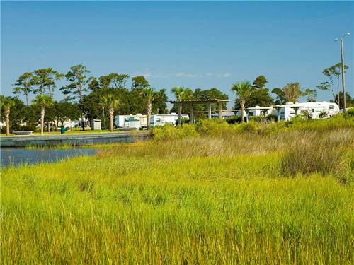 Trailers camping on the water with green weeds at GOOSE CREEK CAMPGROUND