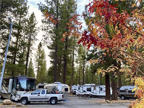 Trailers and motorhomes in RV sites at COACHLAND RV RESORT / VILLAGE CAMP TRUCKEE