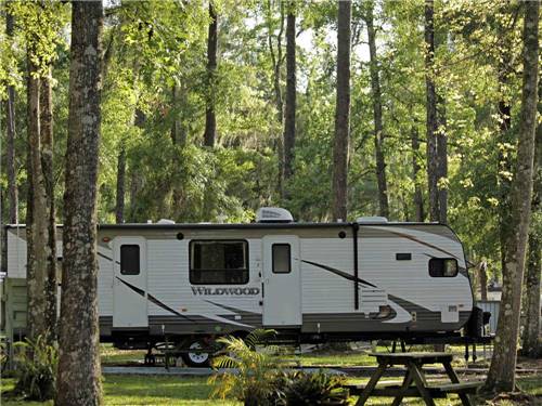 Trailers camping at ENCORE CLOVER LEAF FOREST RV RESORT