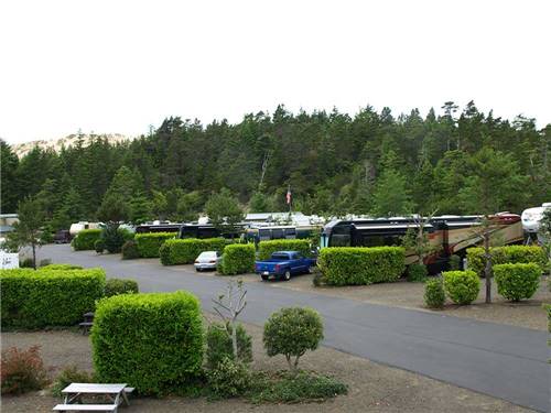 RVs and trailers at campground at WOAHINK LAKE RV RESORT
