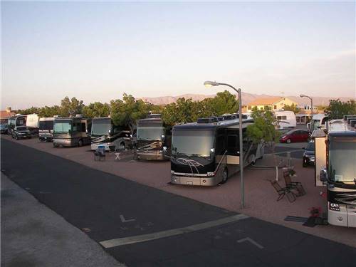 RVs camping in a row at CANYON TRAIL RV PARK