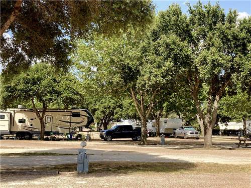 Some of the empty dirt RV sites at SCHULENBURG RV PARK