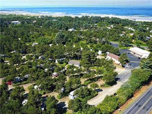 Lovely aerial view of green trees and ocean at HECETA BEACH RV PARK