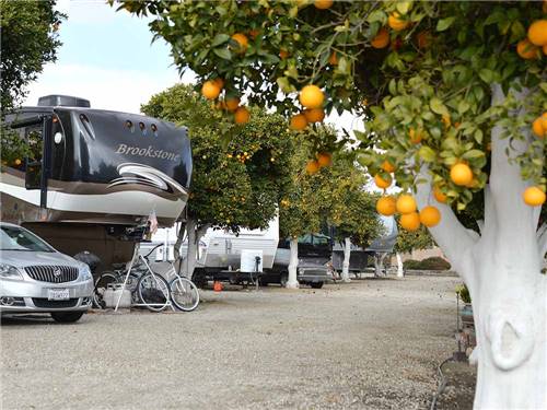 Orange Grove RV Park in Bakersfield, CA