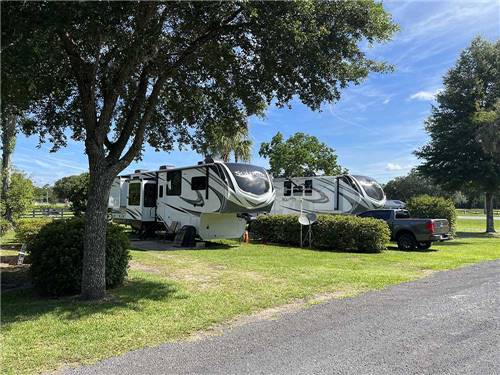 Motorhomes in sunny campsites at KELLY'S COUNTRYSIDE RV PARK