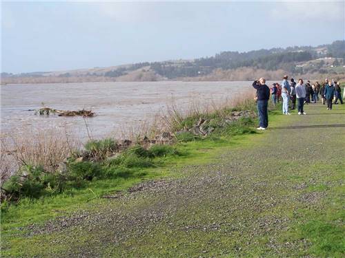 A group of people looking at the river at RIVERWALK RV PARK & CAMPGROUND