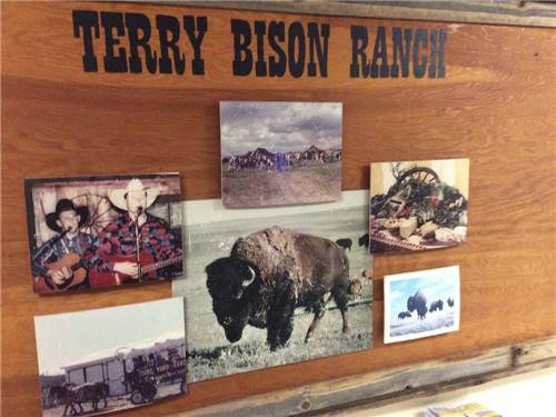 A sign with photos on it at TERRY BISON RANCH RV PARK