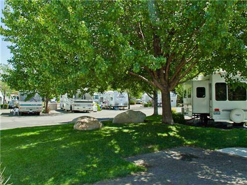 The trees near the RV sites at VICTORIAN RV PARK