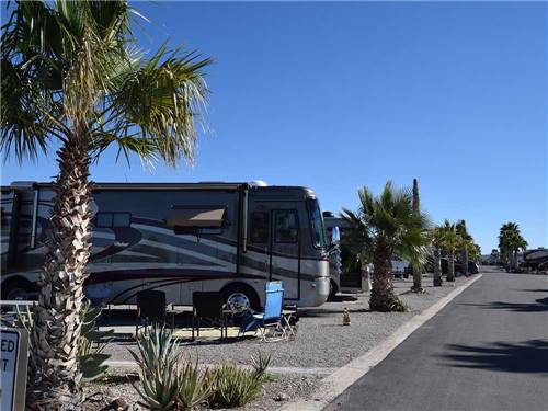 Road leading into campground at DESERT GOLD RV RESORT