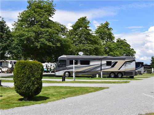 A row of paved pull thru RV sites at MOUNT VERNON RV PARK