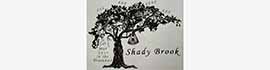 Ad for Shady Brook Camping & RV Adventures