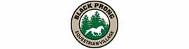 Ad for Black Prong Equestrian Village