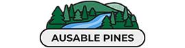 Ad for Ausable Pines RV Park