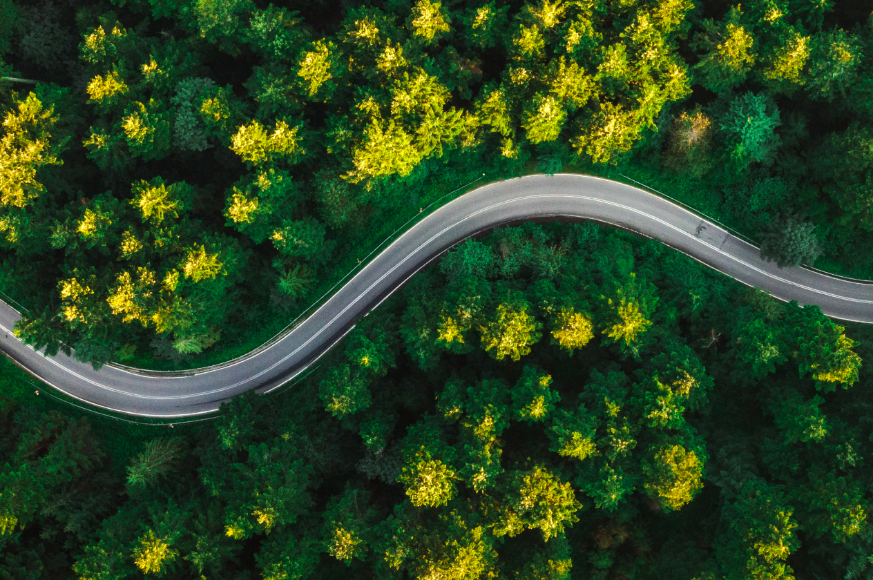 Curved Road with the forest views