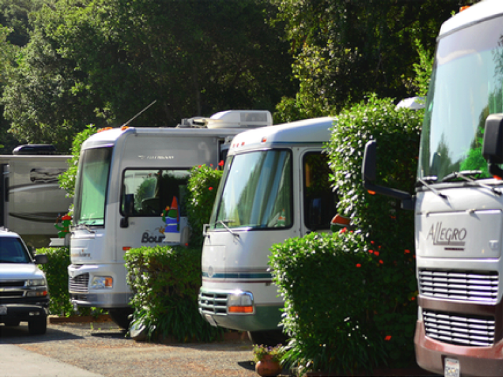 RVs lined up at Carmel by the River RV Park